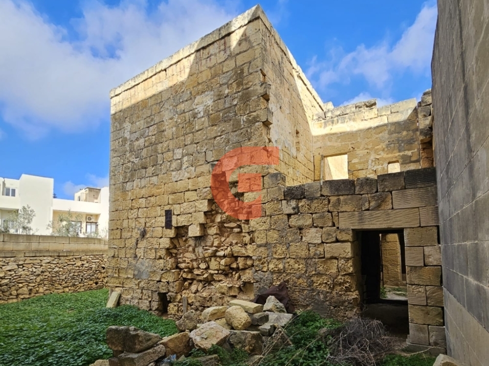 WhatsApp Image 2024-02-06 at 09.46.11_25e8a118