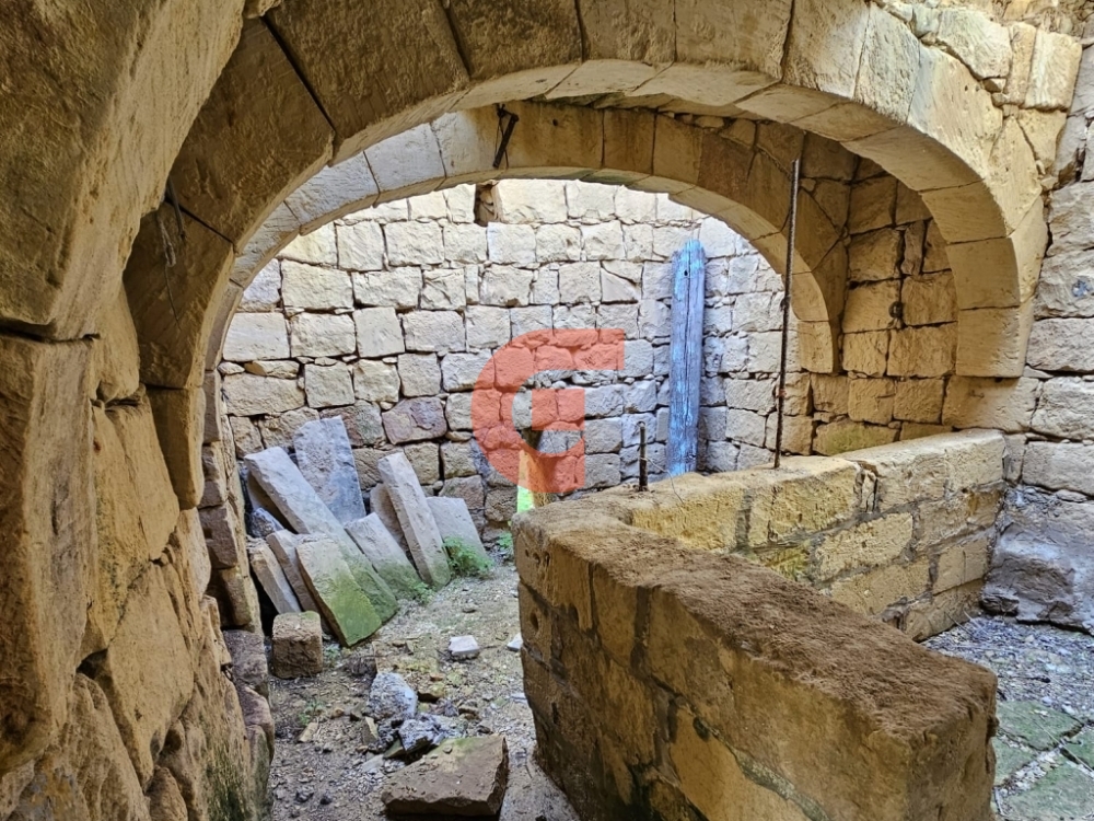 WhatsApp Image 2024-02-06 at 09.46.12_05b97d26