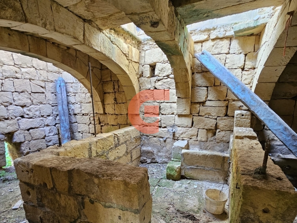 WhatsApp Image 2024-02-06 at 09.46.12_2bc60741