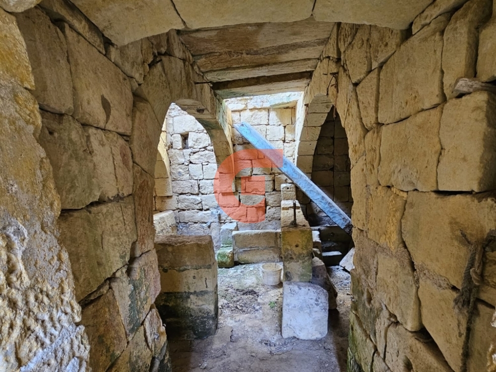 WhatsApp Image 2024-02-06 at 09.46.12_564ff253