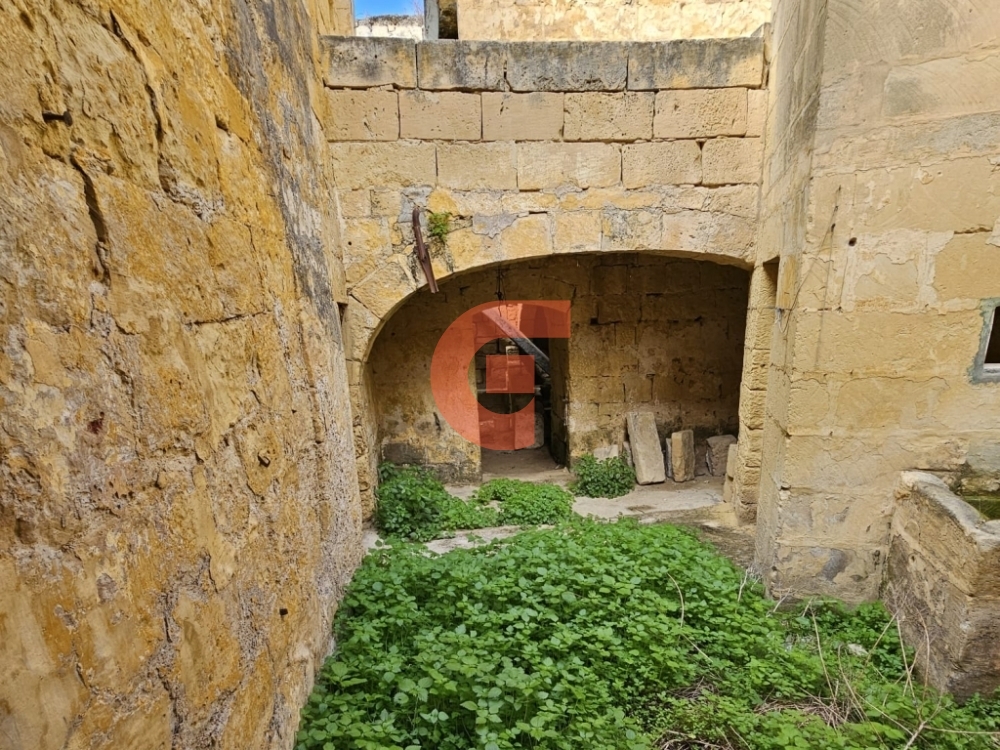 WhatsApp Image 2024-02-06 at 09.46.12_612aaf36