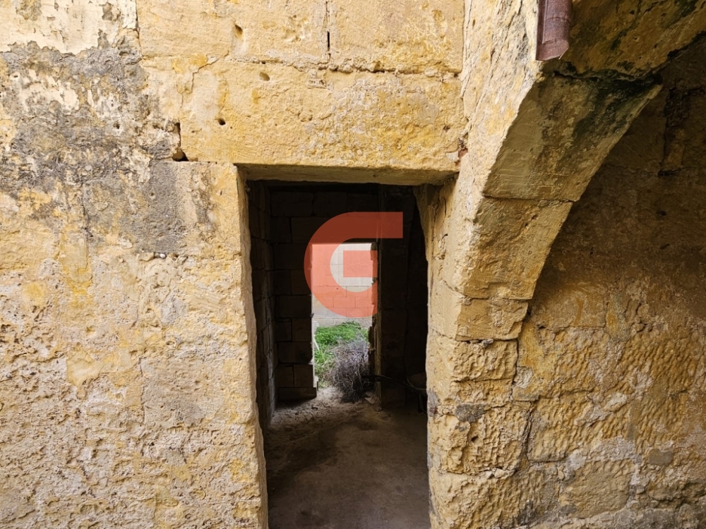 WhatsApp Image 2024-02-06 at 09.46.12_9e9dfeaa