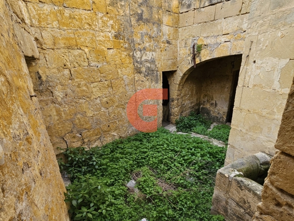 WhatsApp Image 2024-02-06 at 09.46.12_d8d69244