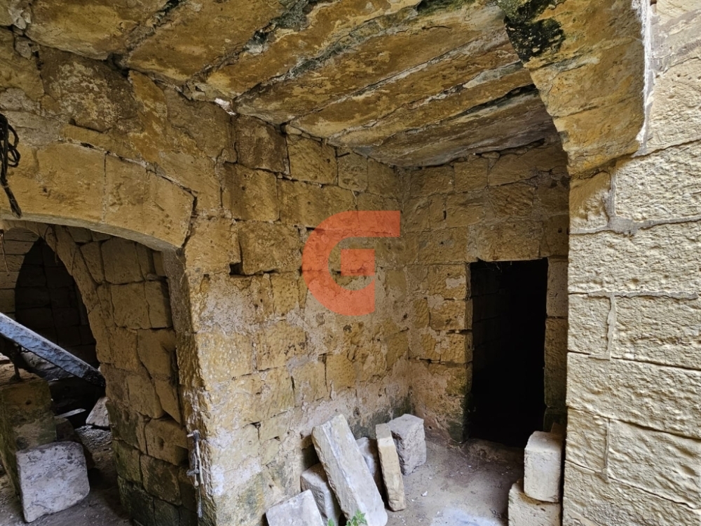 WhatsApp Image 2024-02-06 at 09.46.12_db2af477