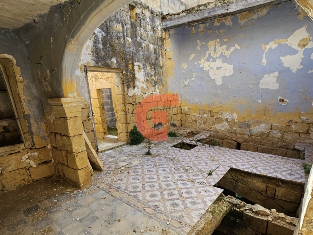 WhatsApp Image 2024-02-06 at 09.46.13_619a4c8d