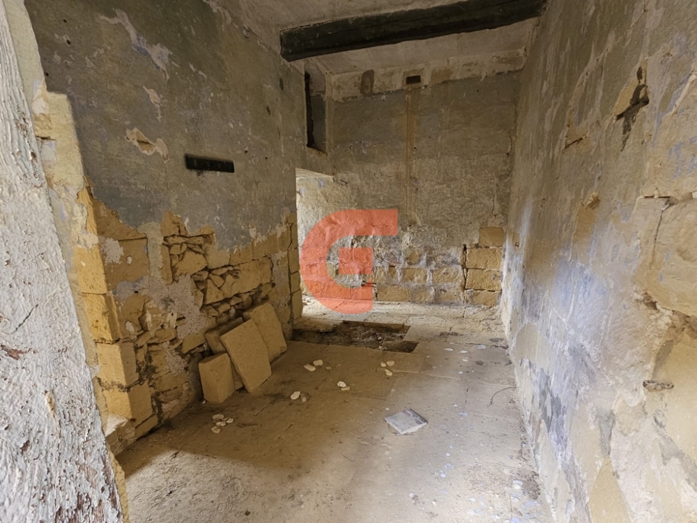 WhatsApp Image 2024-02-06 at 09.46.13_6ef50851