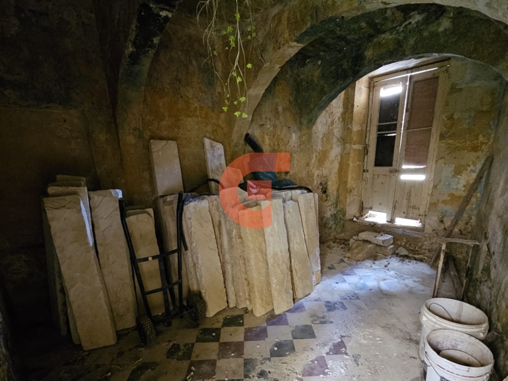 WhatsApp Image 2024-02-06 at 09.46.13_8f2d67fb