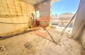 IMG_5639 IMG_5639