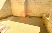 IMG_5650 IMG_5650