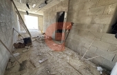 IMG_5674 IMG_5674