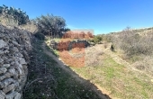 IMG_5875 IMG_5875
