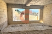 IMG_5881 IMG_5881