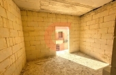 IMG_5946 IMG_5946