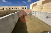 IMG_5951 IMG_5951