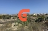 558615833_122157678476771857_7441124286063053778_n 558615833_122157678476771857_7441124286063053778_n