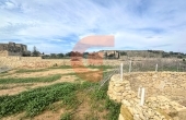 IMG_6037 IMG_6037