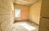 IMG_6041 IMG_6041