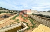 IMG_6051 IMG_6051