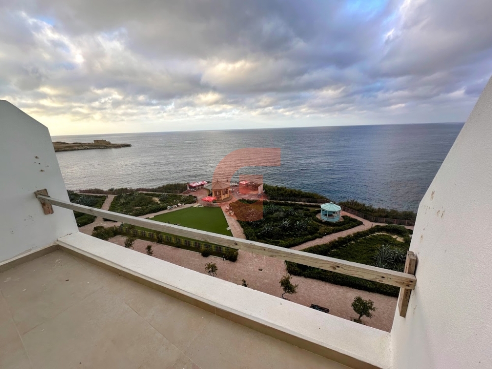 IMG_6077-EDIT IMG_6077-EDIT