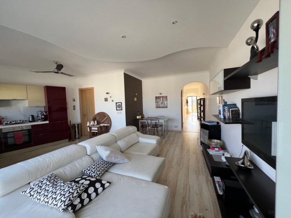 WhatsApp Image 2026-02-07 at 11.01.47