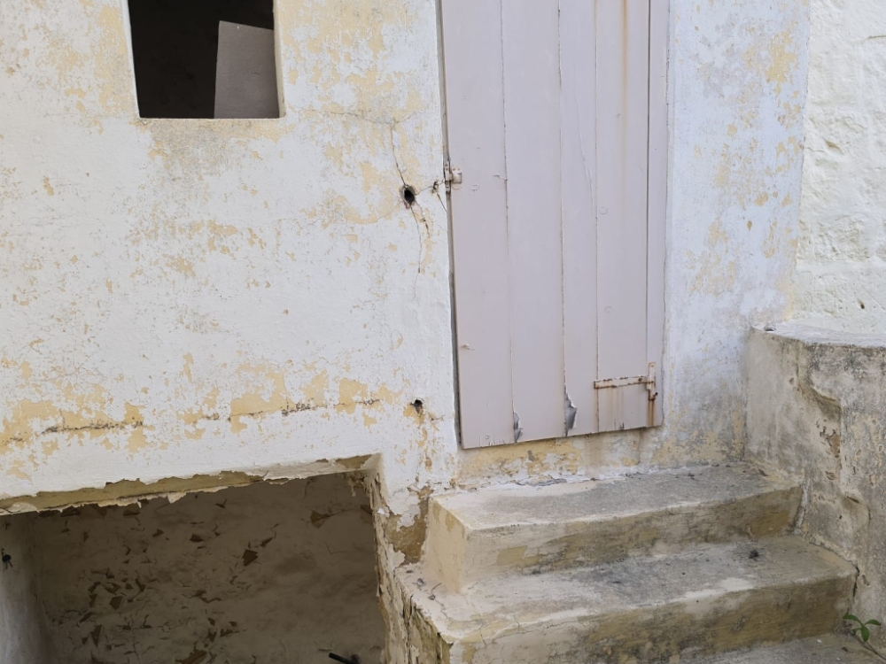 WhatsApp Image 2026-03-25 at 17.07.49 WhatsApp Image 2026-03-25 at 17.07.49