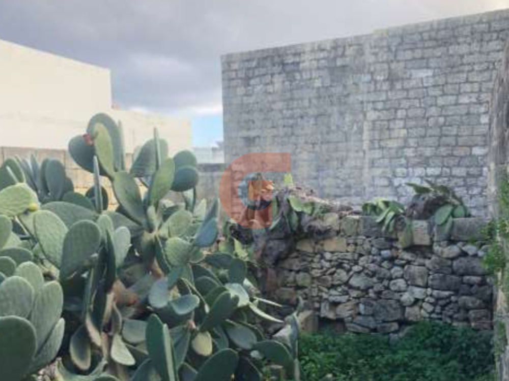 iScreen Shoter - Preview - 260421115618