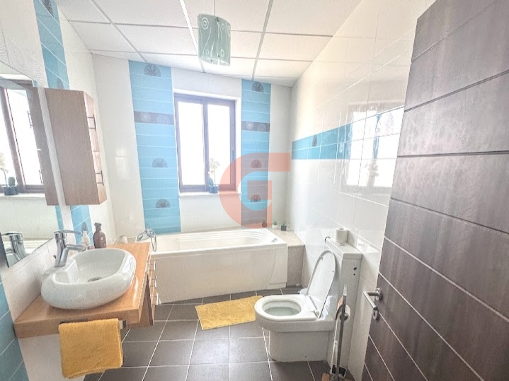 IMG_0101
