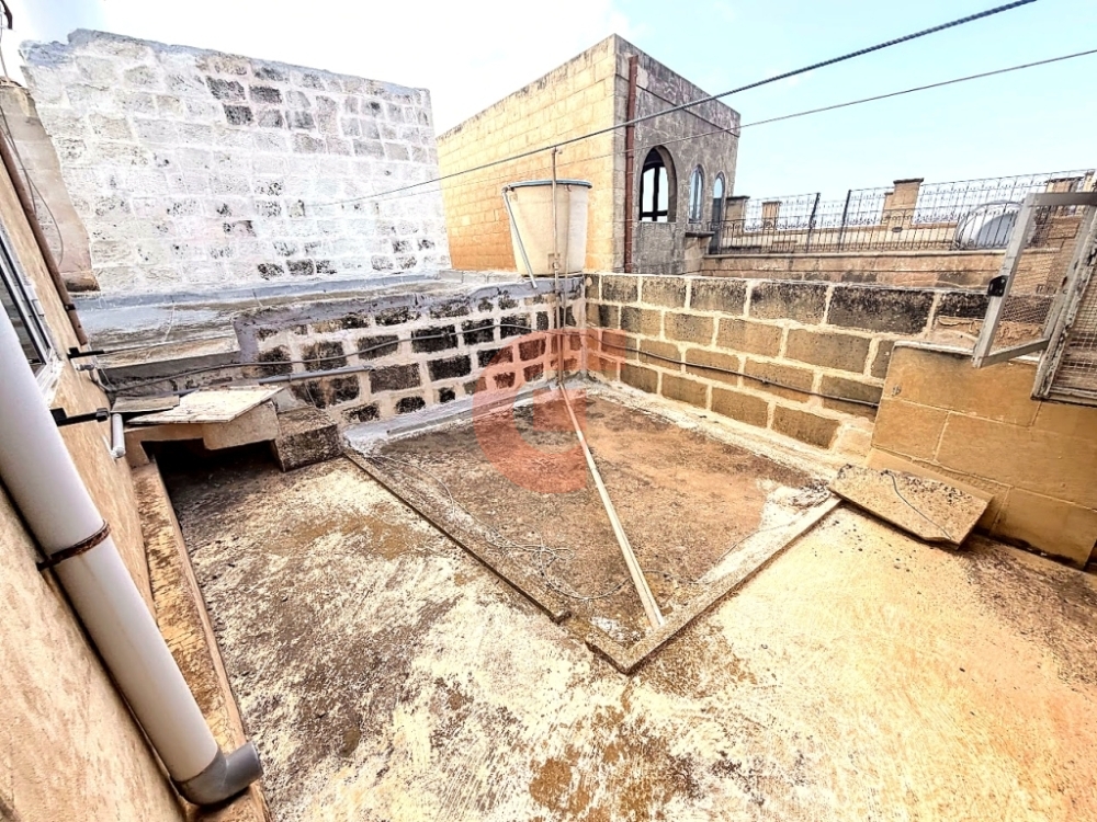 IMG_0344_professional_AI_style IMG_0344_professional_AI_style