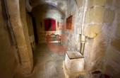IMG_0325_professional_AI_style